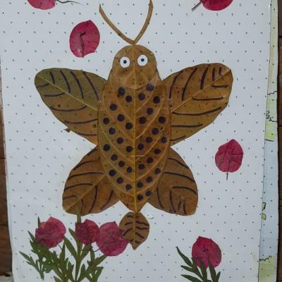 Whatsapp Image 2020 10 05 At 07.18.092